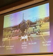 Fältflygare 6.jpg