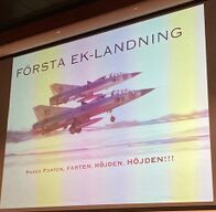 Fältflygare 3.jpg