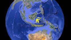 Sulawesi-02.jpg